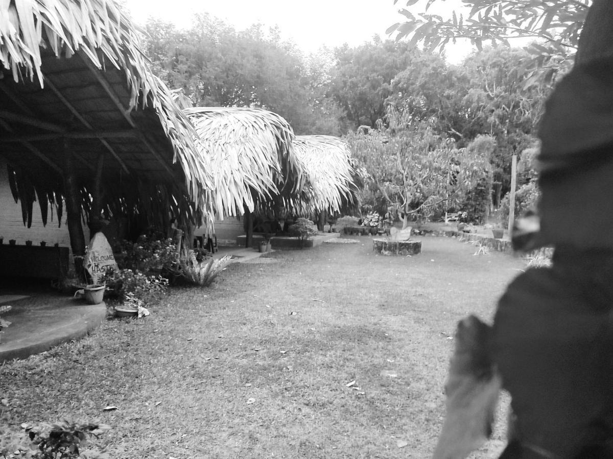 Hasthi Safari Cottage اوداوالاوي المظهر الخارجي الصورة