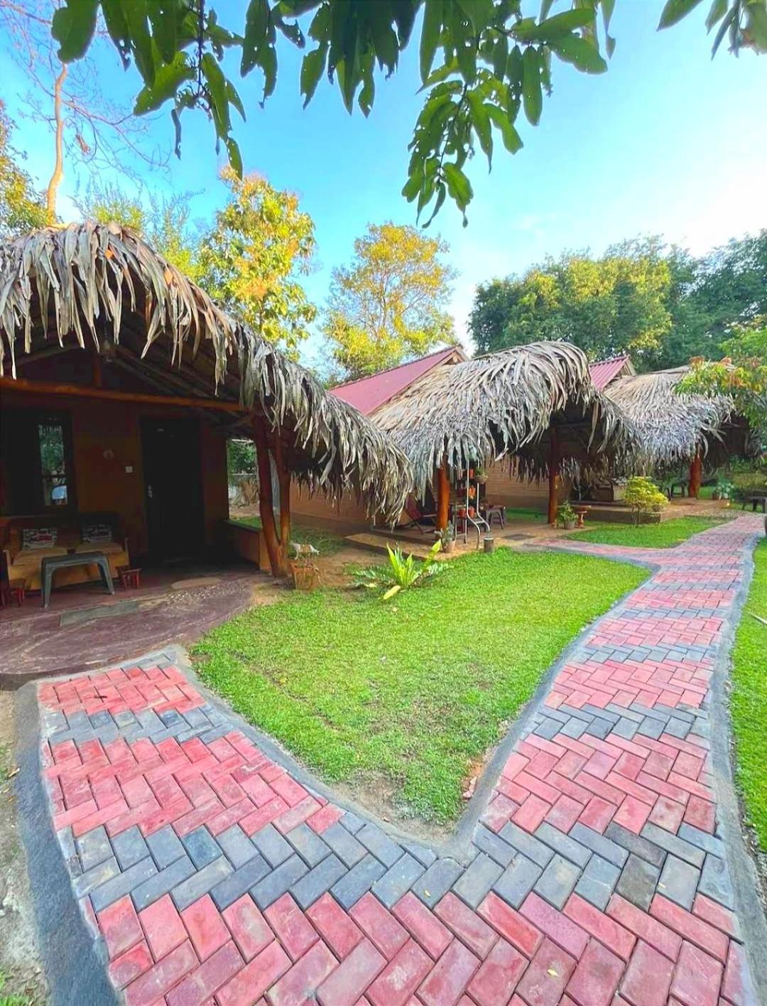 Hasthi Safari Cottage اوداوالاوي المظهر الخارجي الصورة