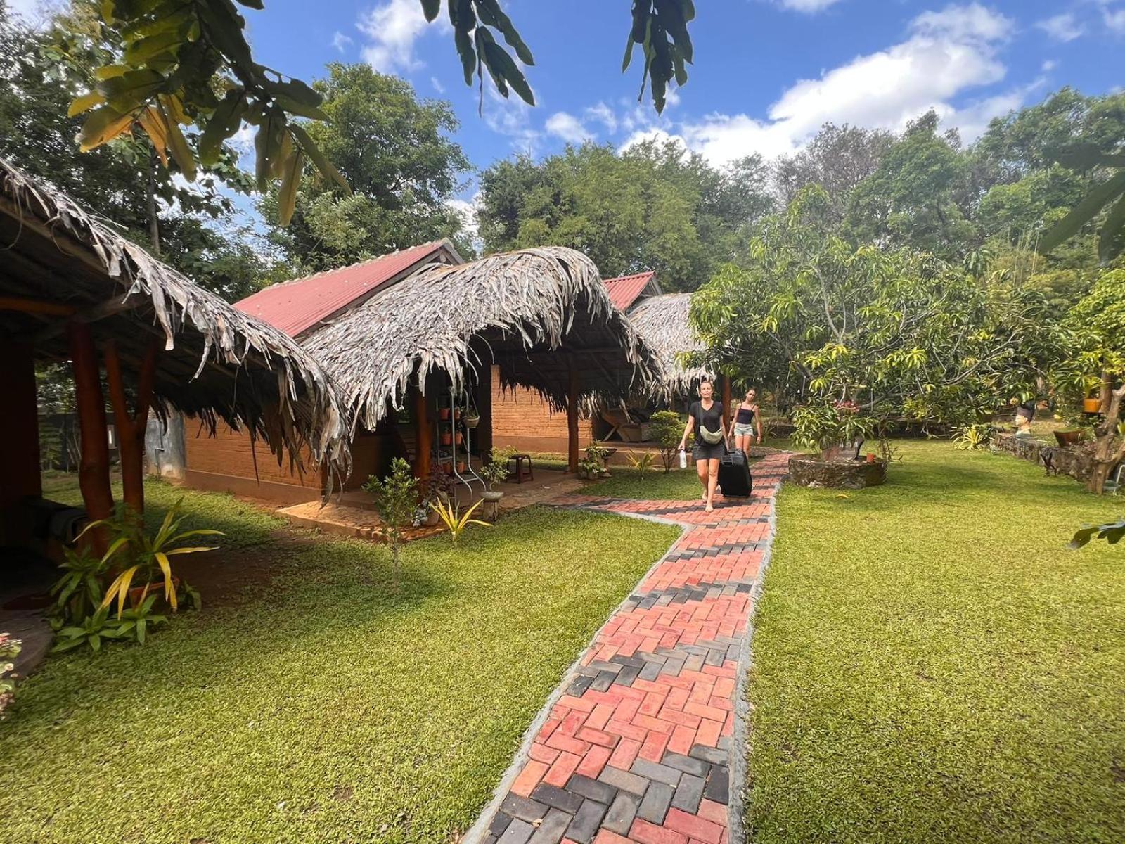 Hasthi Safari Cottage اوداوالاوي المظهر الخارجي الصورة