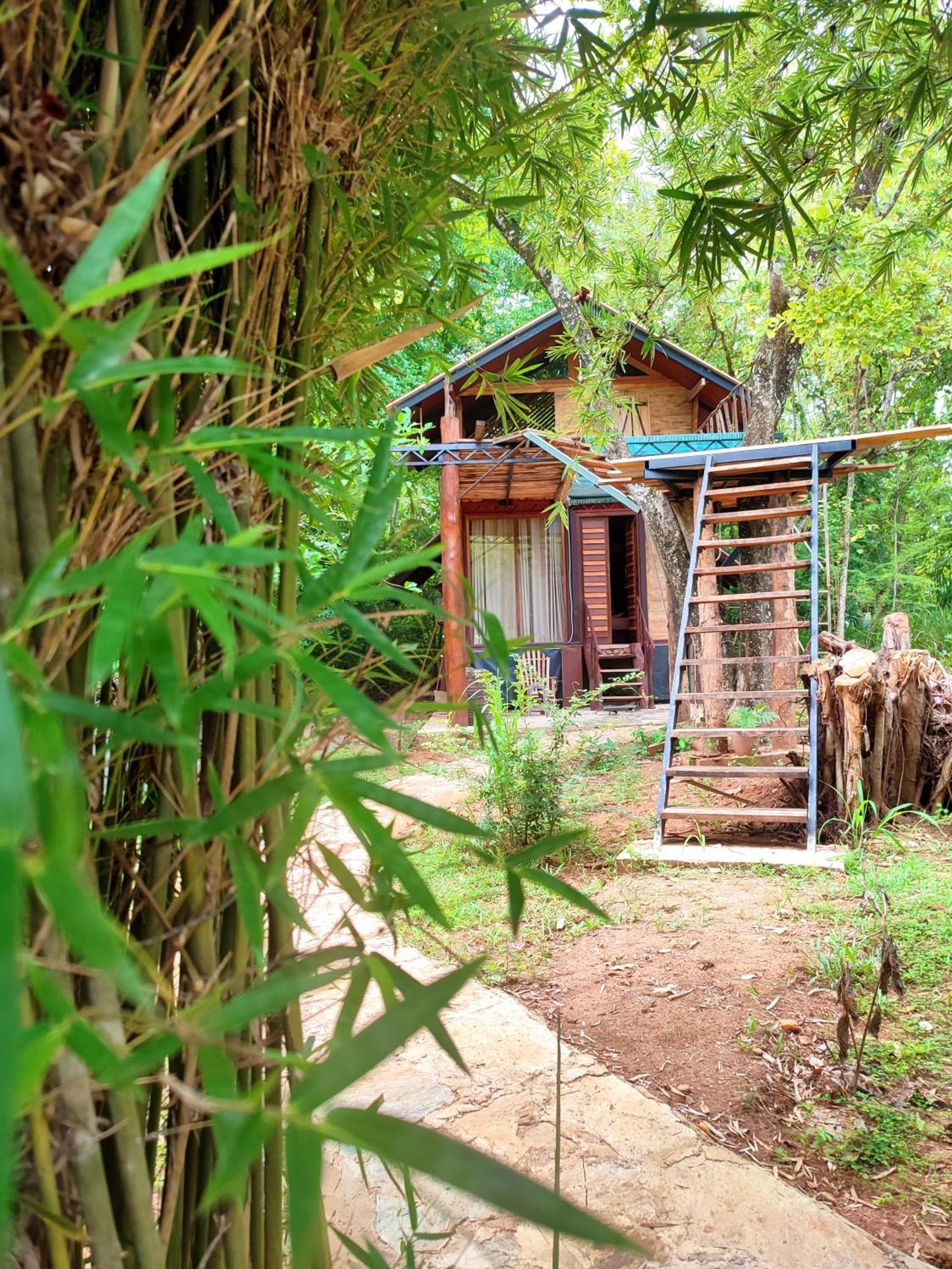 Hasthi Safari Cottage اوداوالاوي المظهر الخارجي الصورة