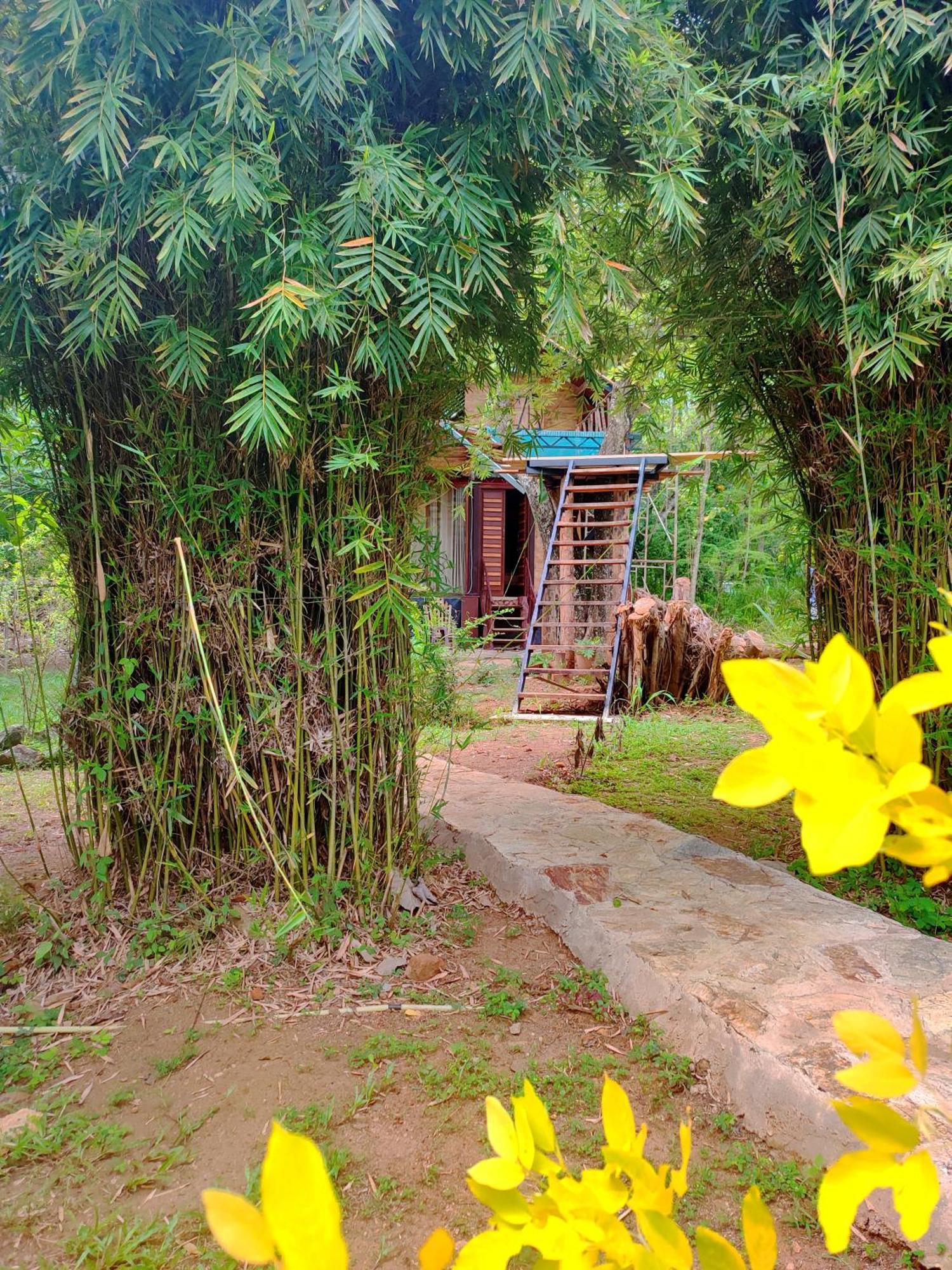 Hasthi Safari Cottage اوداوالاوي المظهر الخارجي الصورة