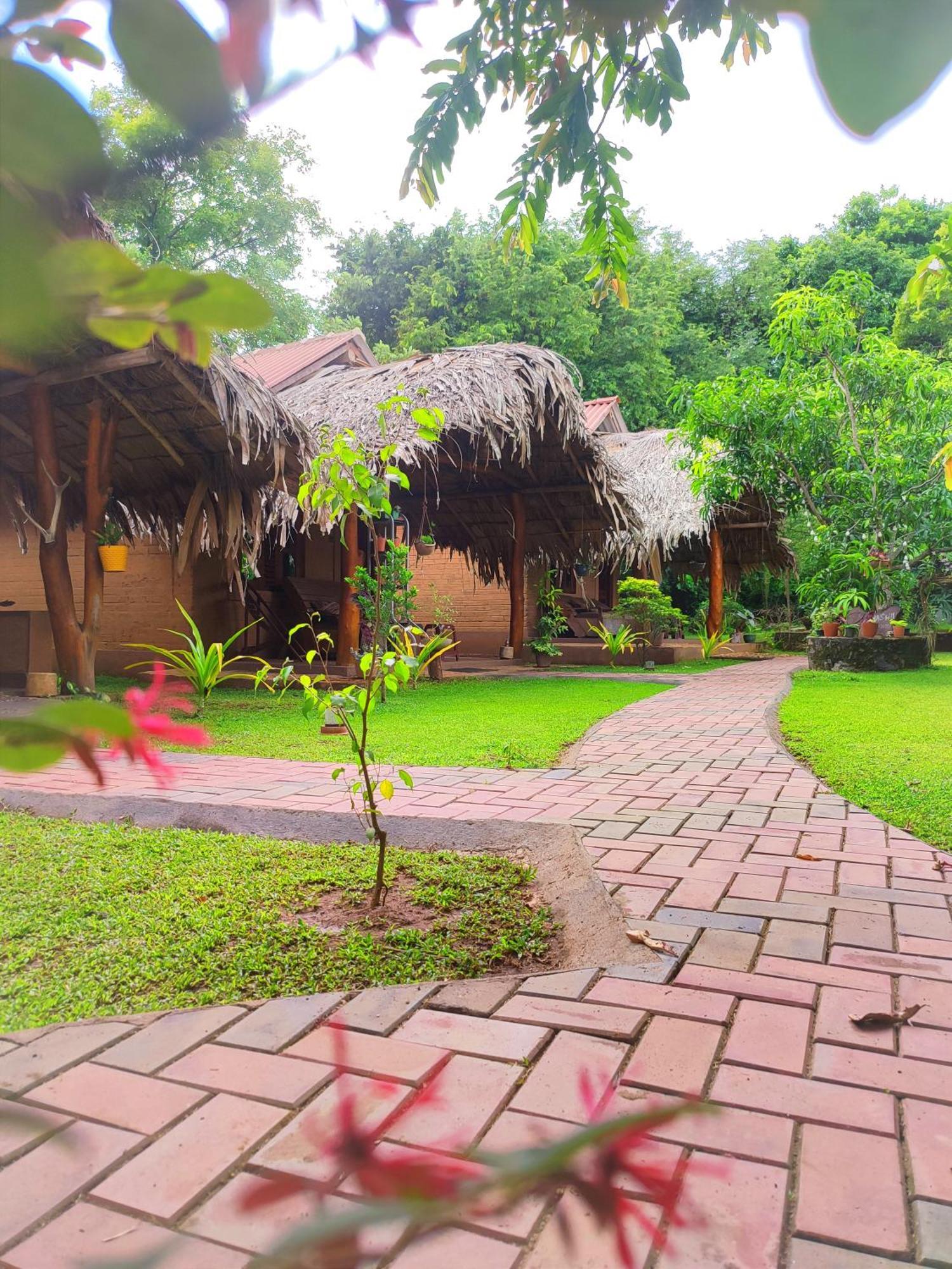 Hasthi Safari Cottage اوداوالاوي المظهر الخارجي الصورة