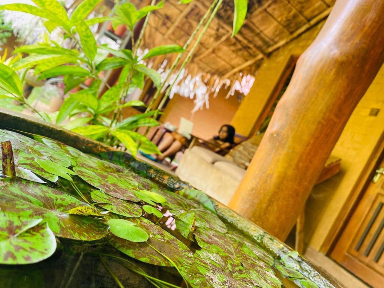 Hasthi Safari Cottage اوداوالاوي المظهر الخارجي الصورة