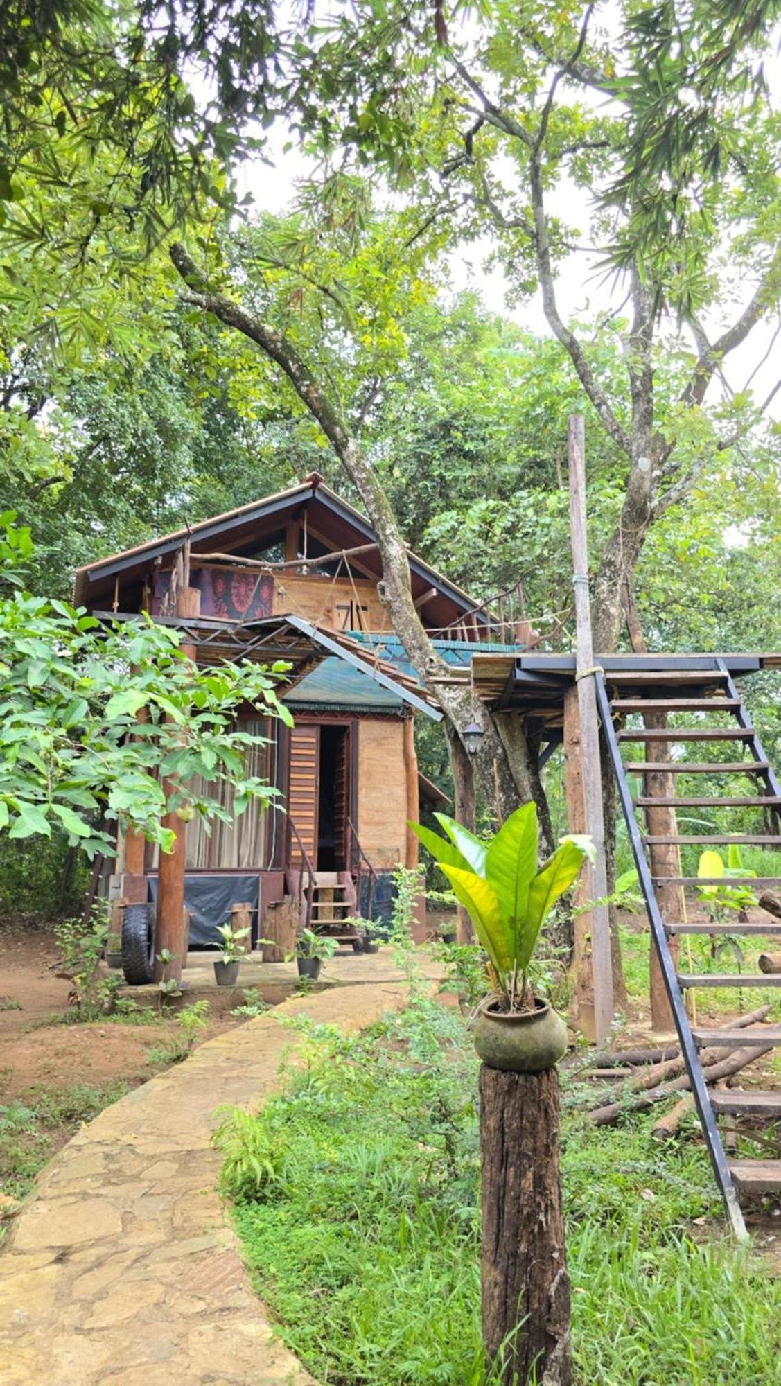 Hasthi Safari Cottage اوداوالاوي المظهر الخارجي الصورة